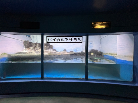 新屋島水族館