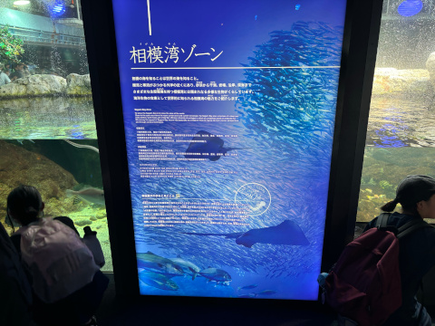 新江ノ島水族館