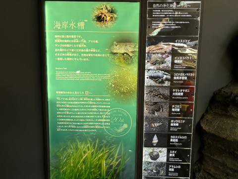 新江ノ島水族館