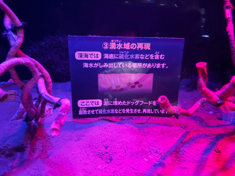 新江ノ島水族館