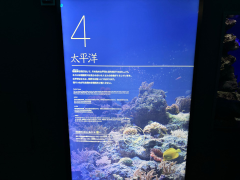 新江ノ島水族館