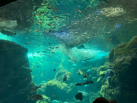 新江ノ島水族館