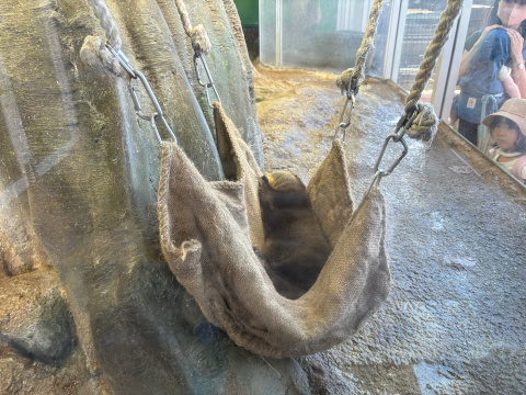 新江ノ島水族館