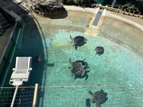 新江ノ島水族館