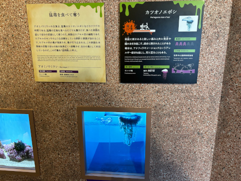 サンシャイン水族館