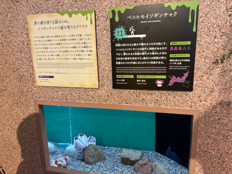 サンシャイン水族館