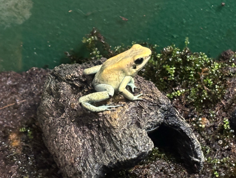 サンシャイン水族館