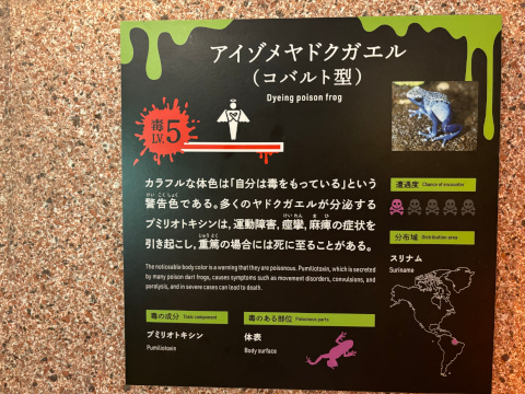 サンシャイン水族館