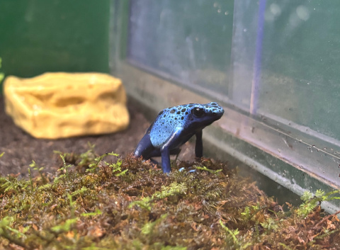 サンシャイン水族館