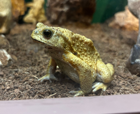 サンシャイン水族館