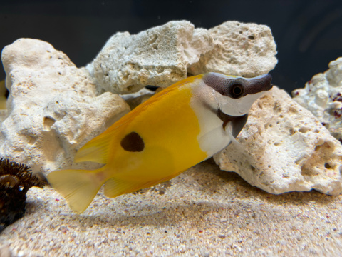 サンシャイン水族館