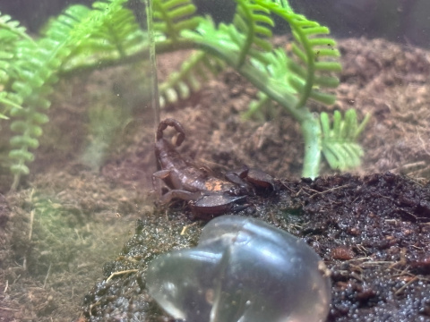 サンシャイン水族館