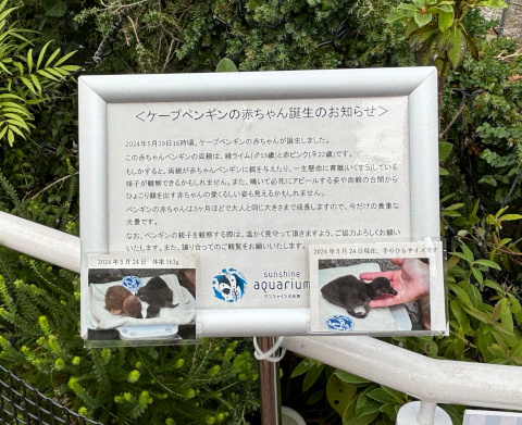 サンシャイン水族館