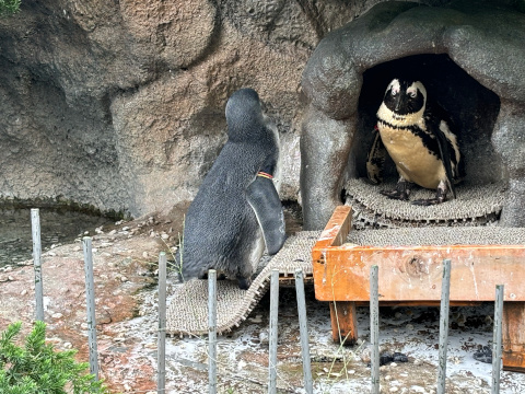 サンシャイン水族館