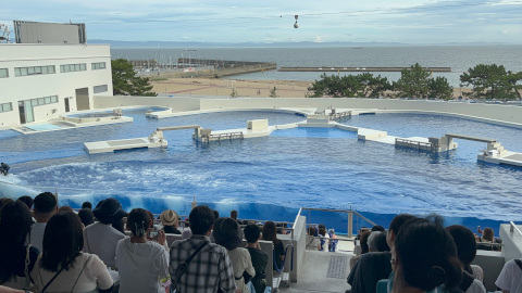 須磨シーワールド シャチ ショー オルカ スタジアム