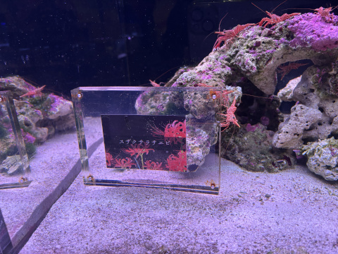 アクアパーク品川