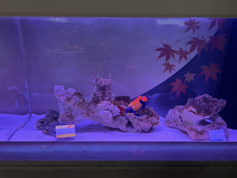 アクアパーク品川