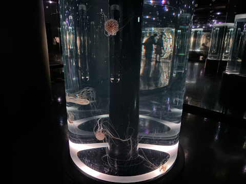 アクアパーク品川