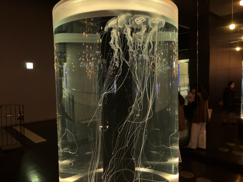 アクアパーク品川