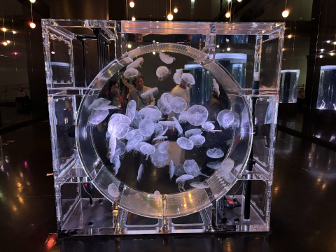 アクアパーク品川