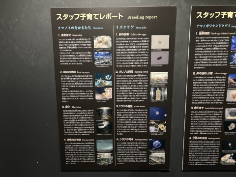 アクアパーク品川