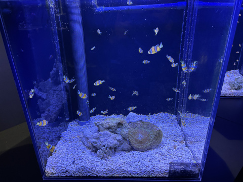 アクアパーク品川