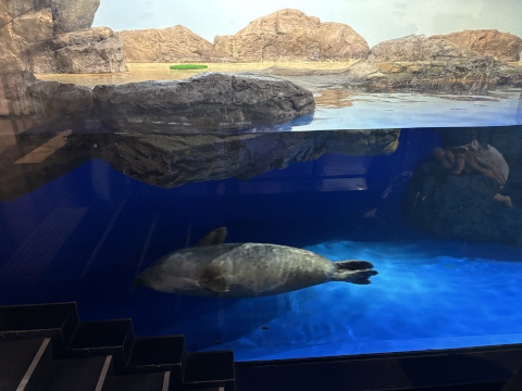 アクアパーク品川