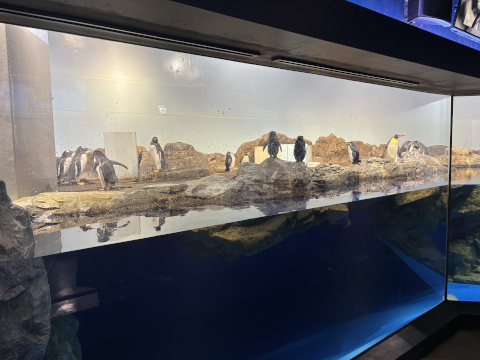 アクアパーク品川