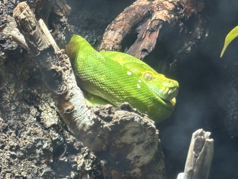 アクアパーク品川