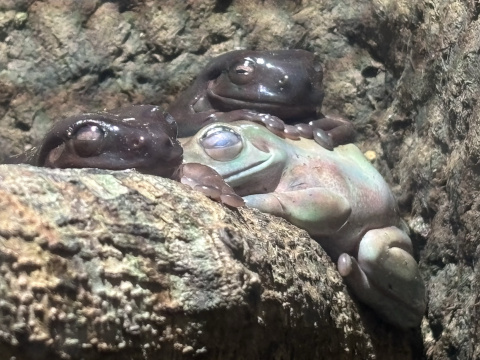 アクアパーク品川