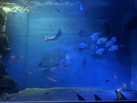 アクアパーク品川