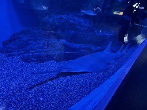 アクアパーク品川