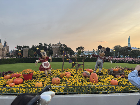 東京ディズニーランド