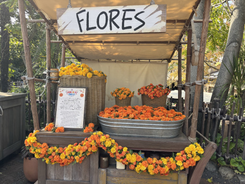 東京ディズニーシー