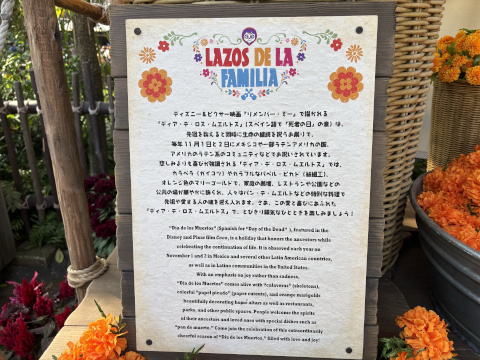 東京ディズニーシー