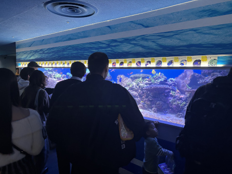 八景島シーパラダイス