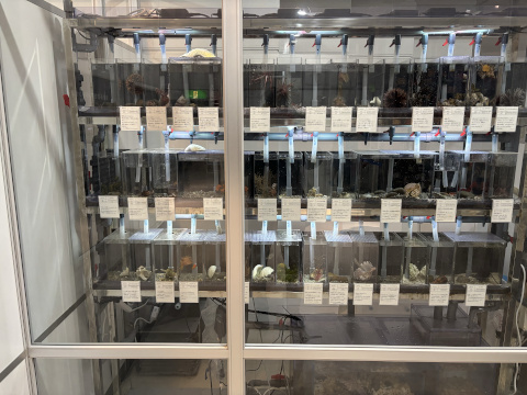 八景島シーパラダイス