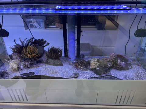 八景島シーパラダイス