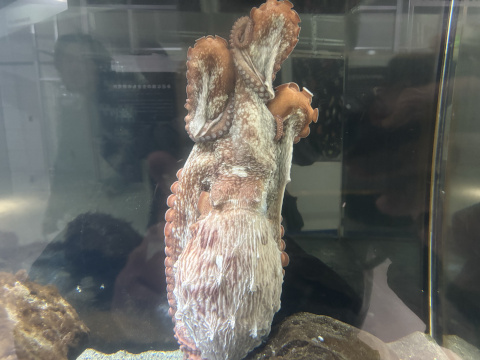 八景島シーパラダイス