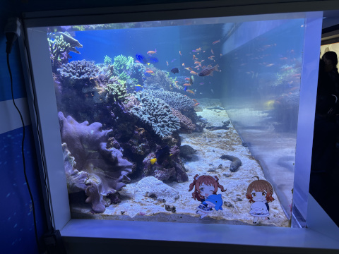 八景島シーパラダイス