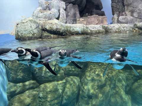 八景島シーパラダイス