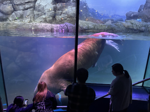 八景島シーパラダイス
