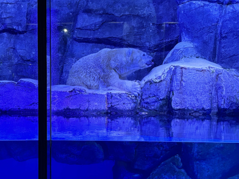 八景島シーパラダイス