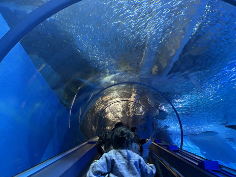八景島シーパラダイス