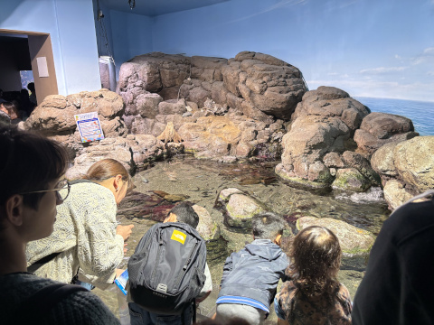 八景島シーパラダイス