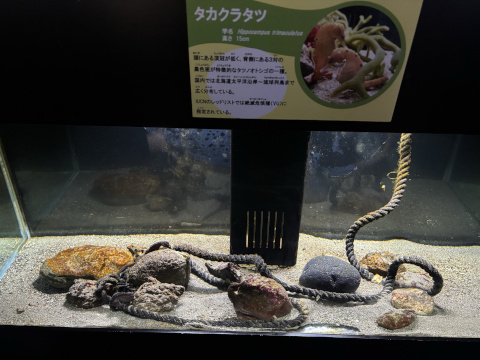 八景島シーパラダイス