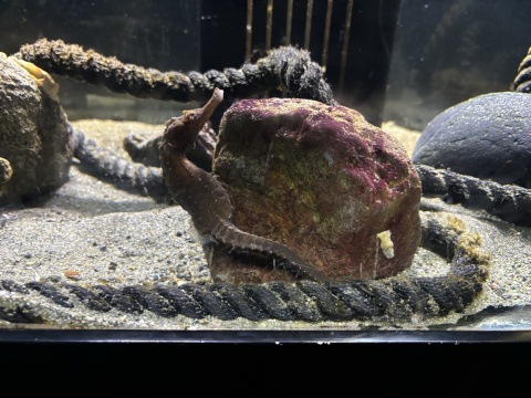 八景島シーパラダイス