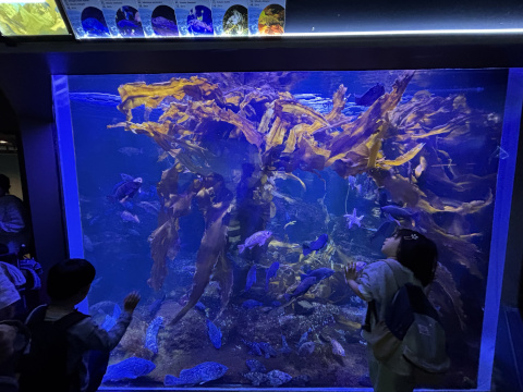 八景島シーパラダイス