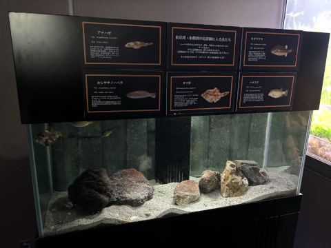 八景島シーパラダイス