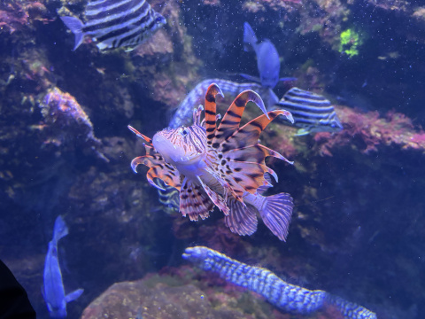 八景島シーパラダイス